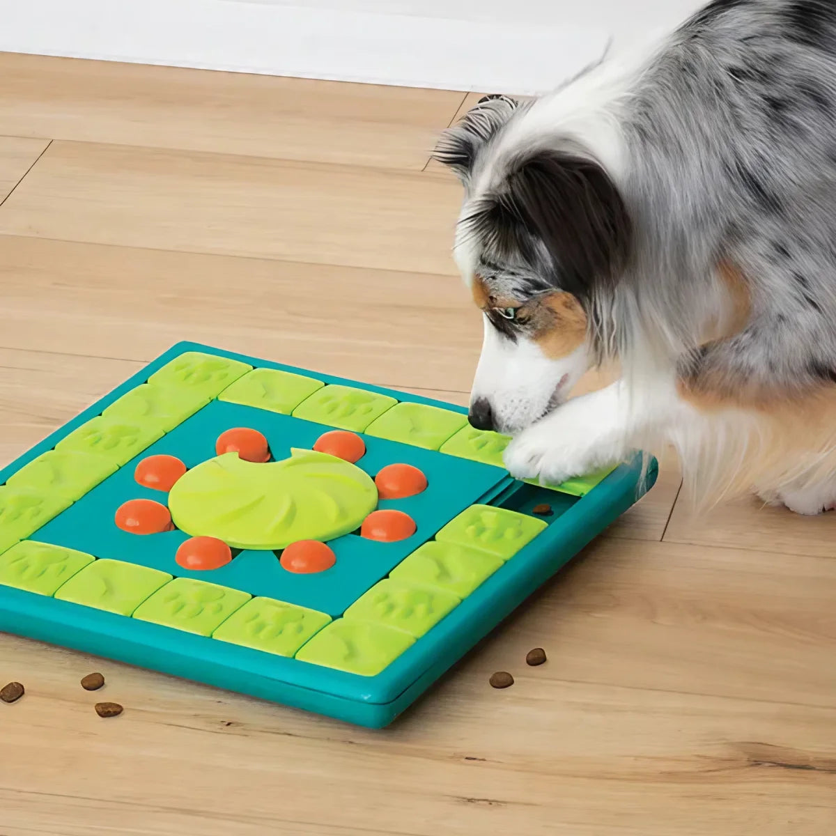Jeu d’intelligence pour chien Multipuzzle