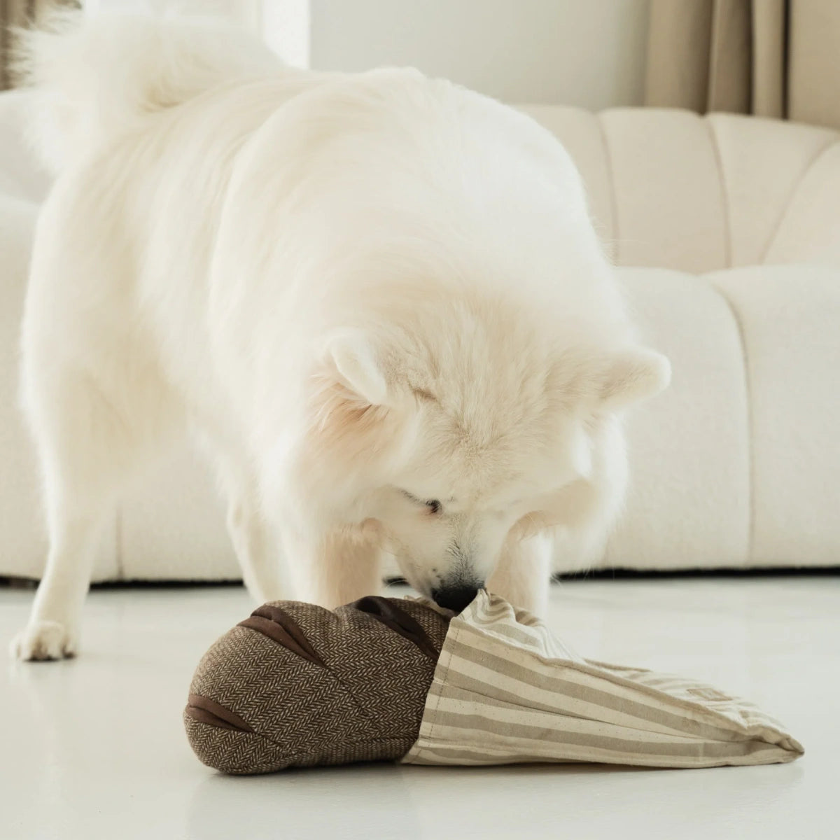 Jeu de fouille pour chien Rye