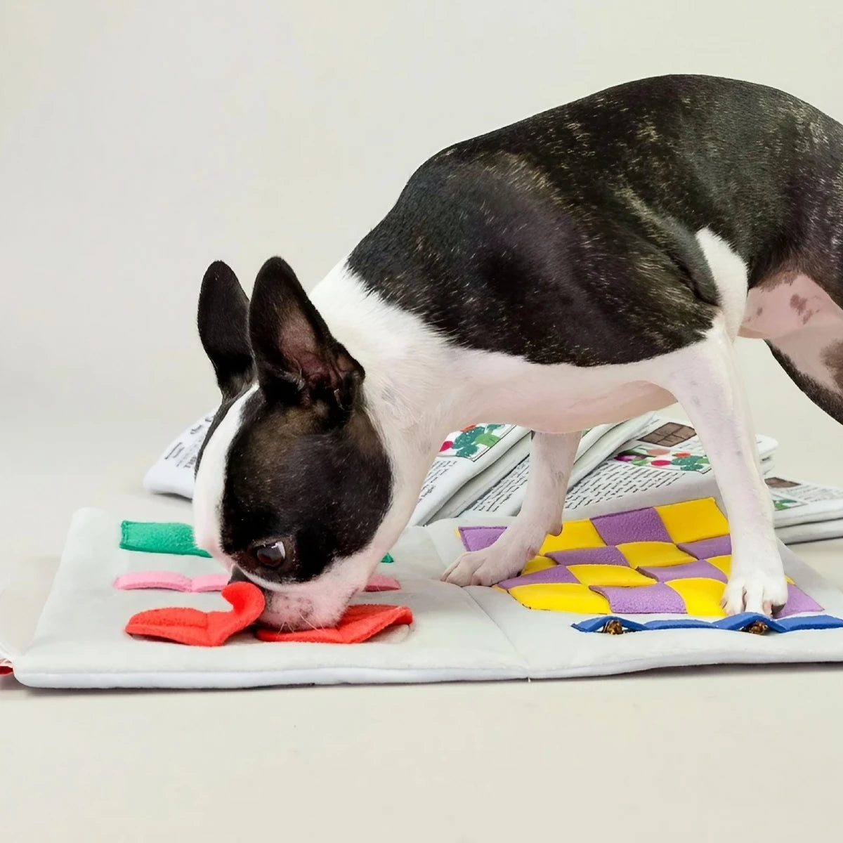 Jeu de fouille pour chien papier journal