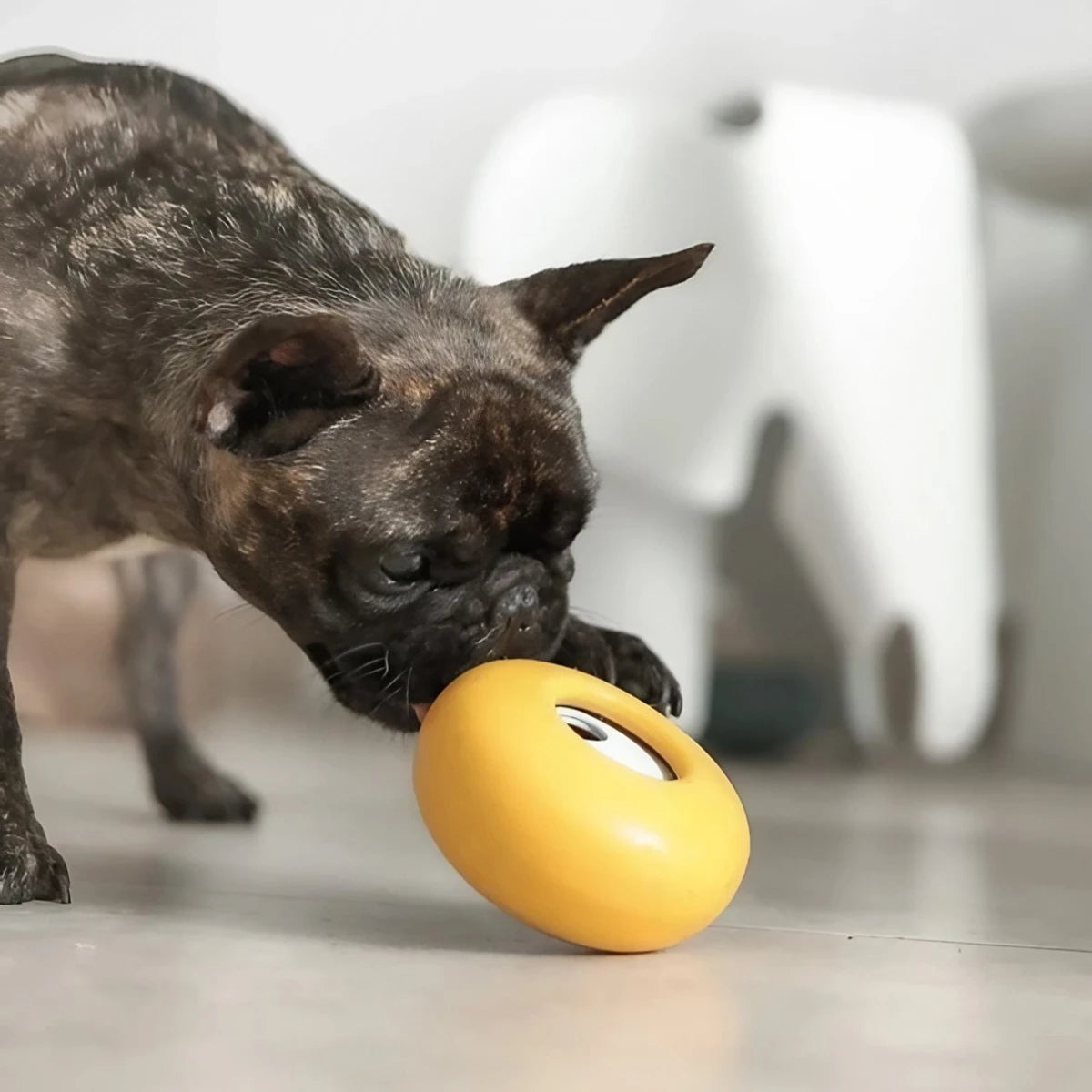 Distributeur de friandises Pebble pour chien