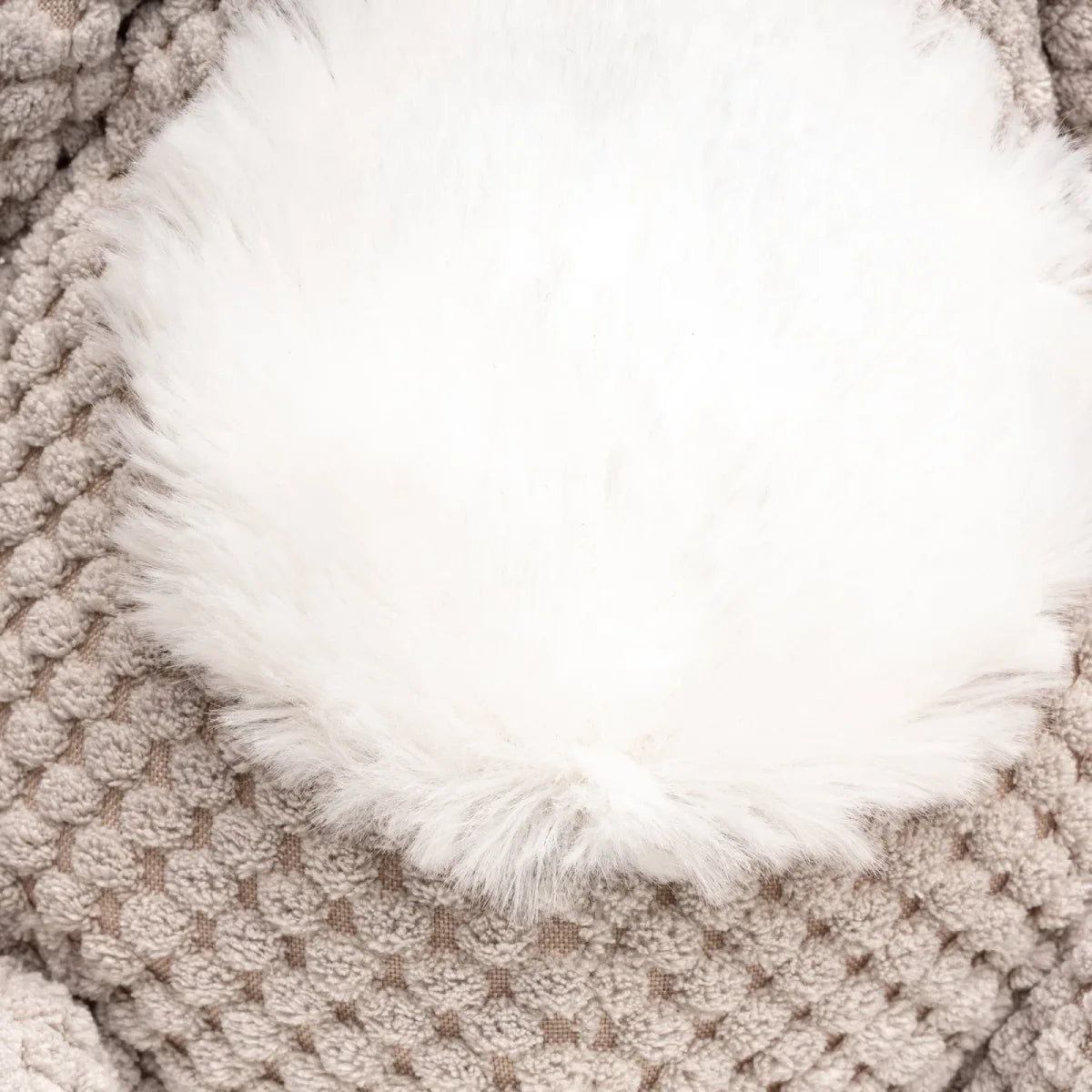 Peluche pour chien Koala