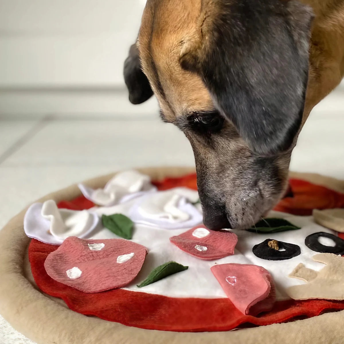 Jeu de fouille pour chien Pizza