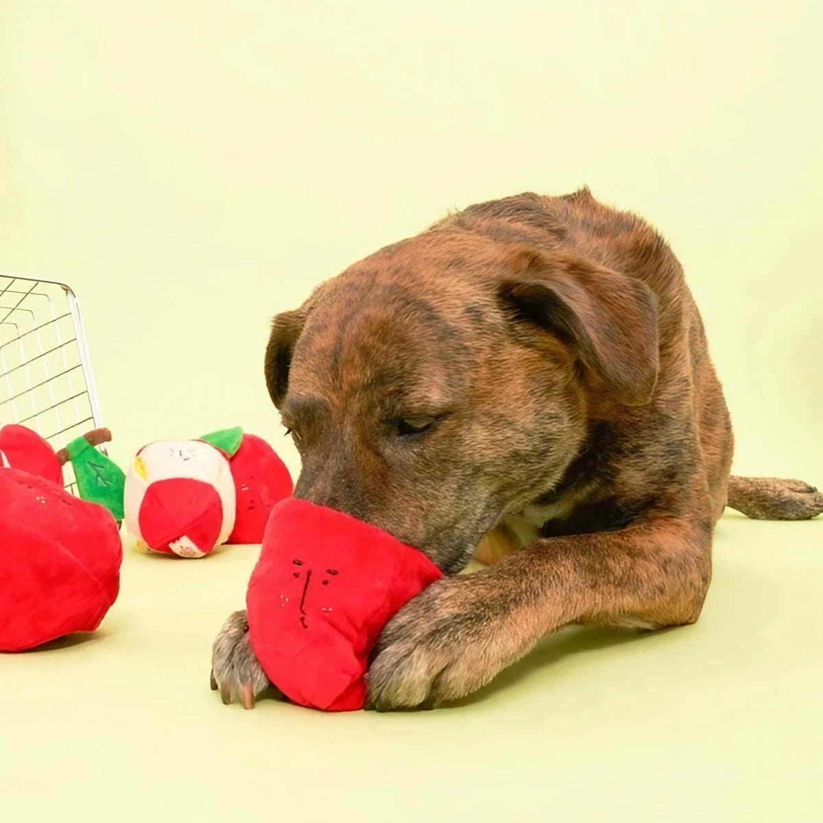 Jeu de fouille pour chien pomme