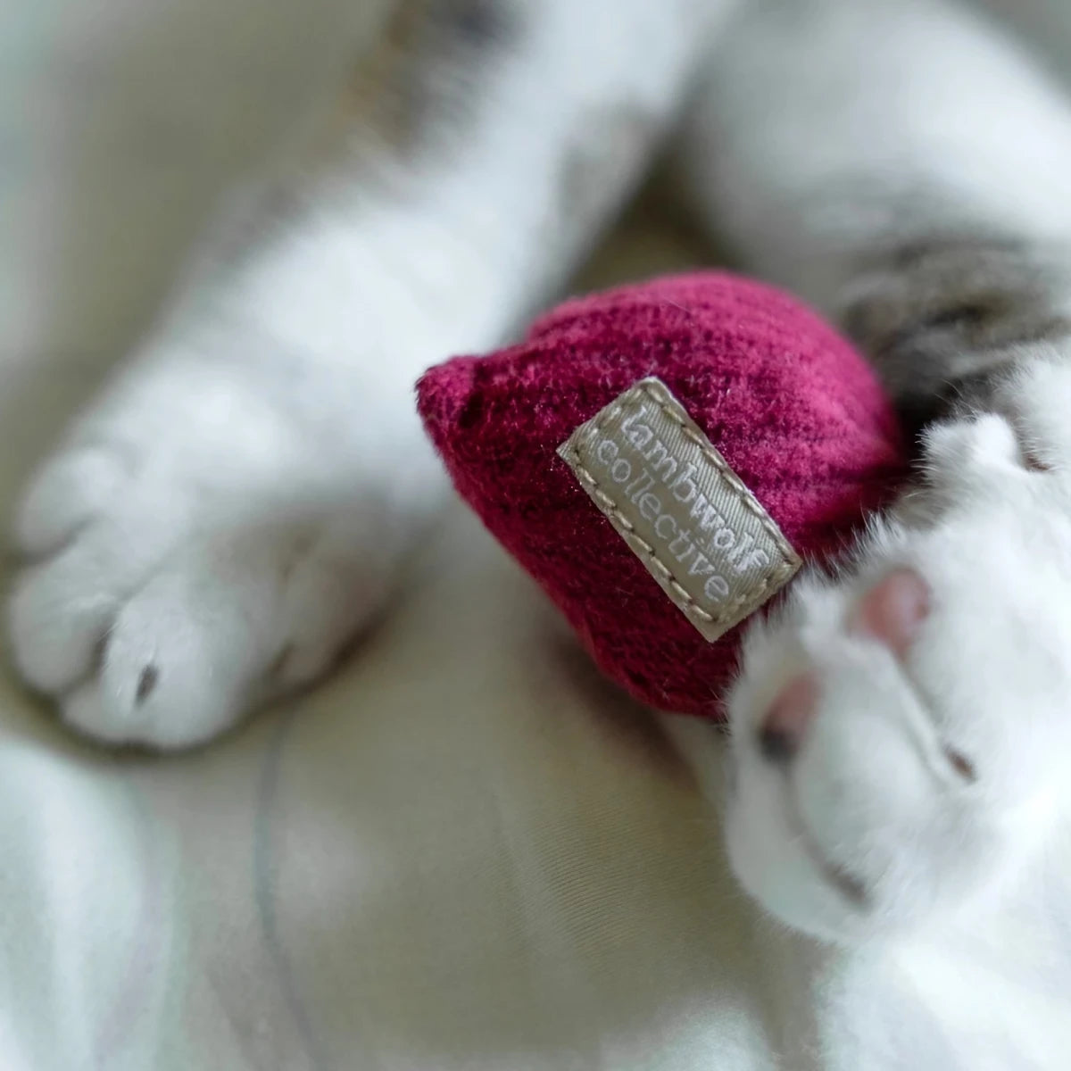 Jouet pour chat Radis rose