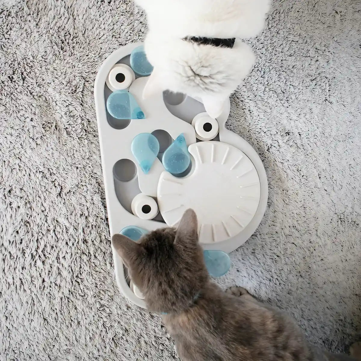 Jeu d’intelligence pour chat Rainy Day