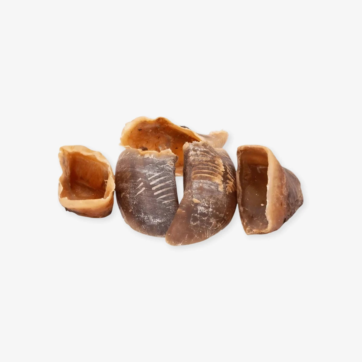 Sabot de boeuf pour chien