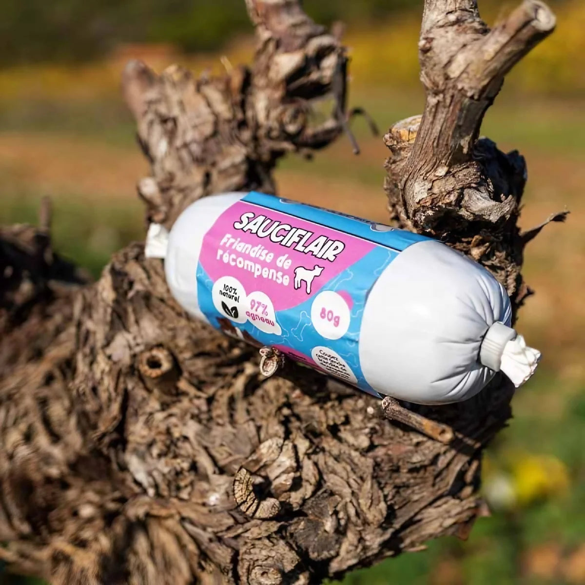 Sauciflair à l’agneau pour chien