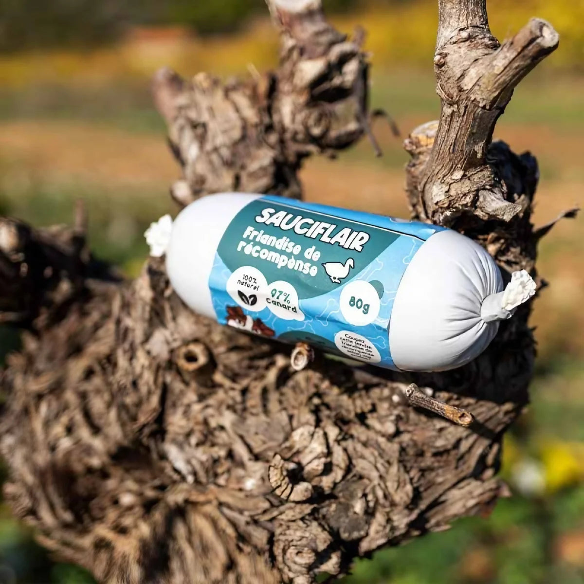 Sauciflair au canard pour chien