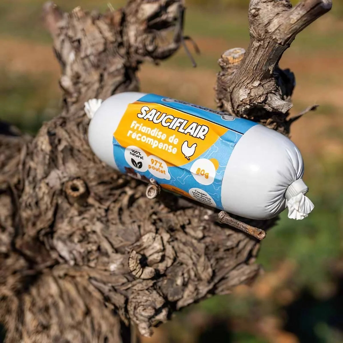 Sauciflair au poulet pour chien