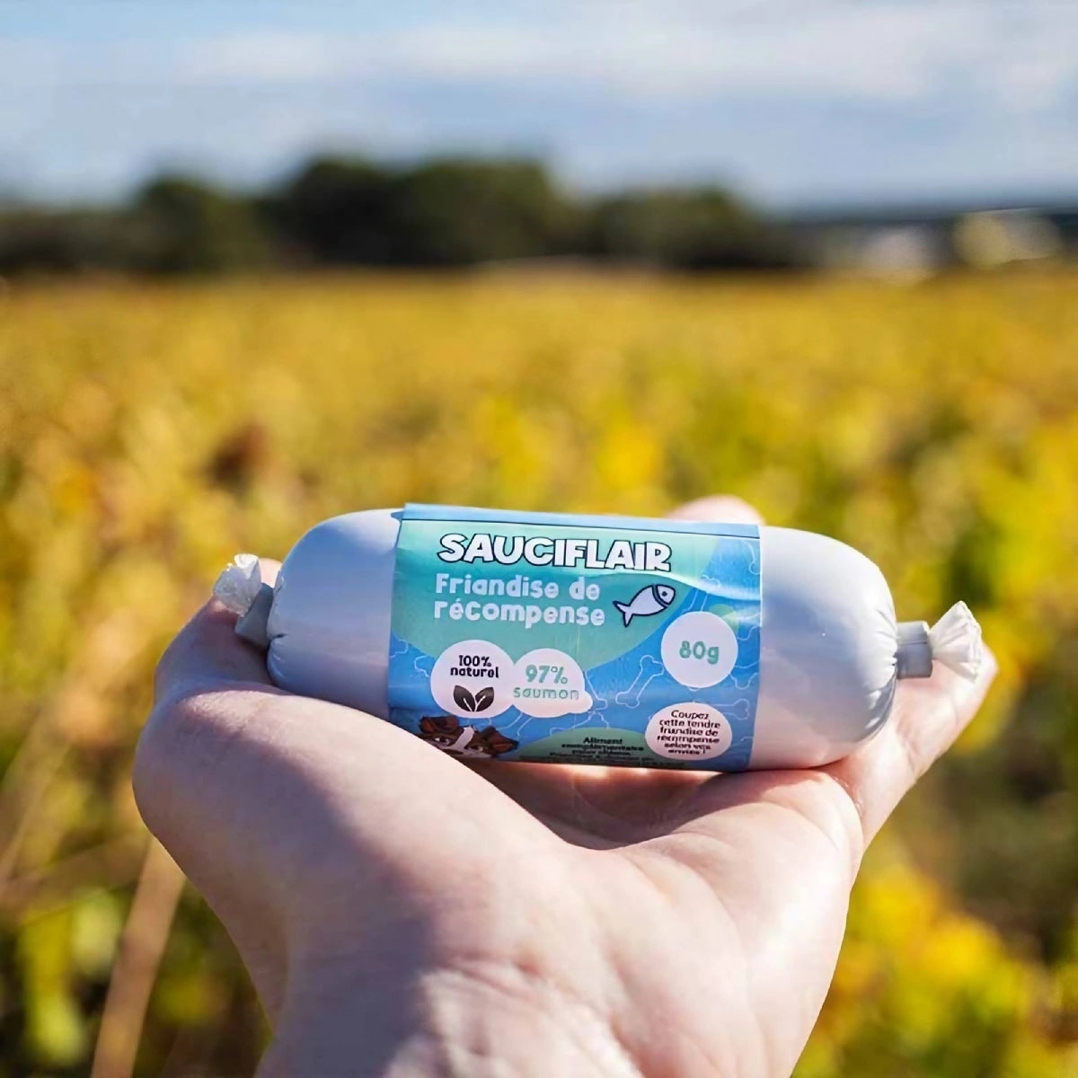 Sauciflair au saumon pour chien