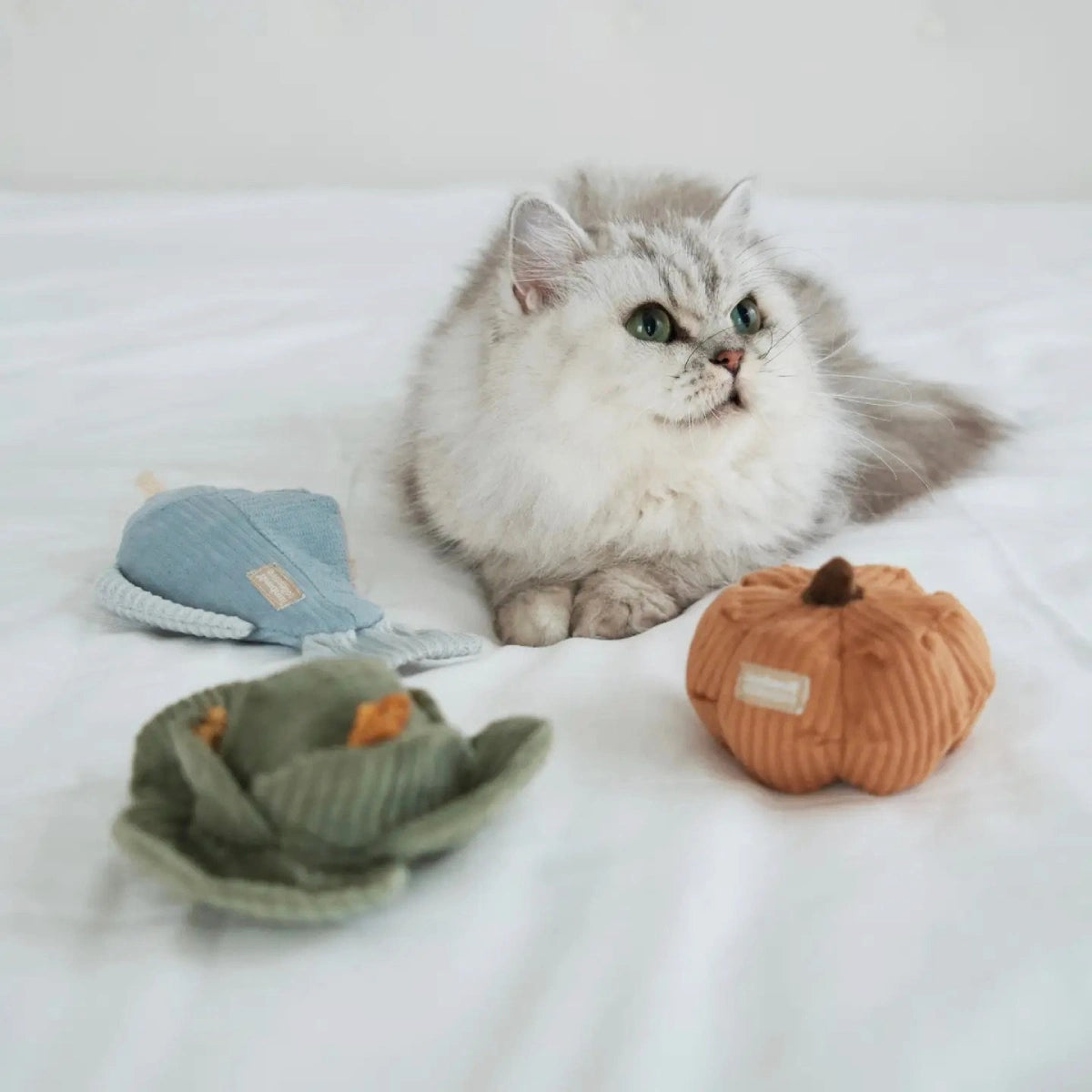 Jouet pour chat Kitty veggie