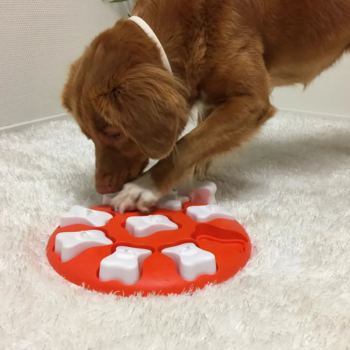 Jeu d’intelligence pour chien Dog Smart