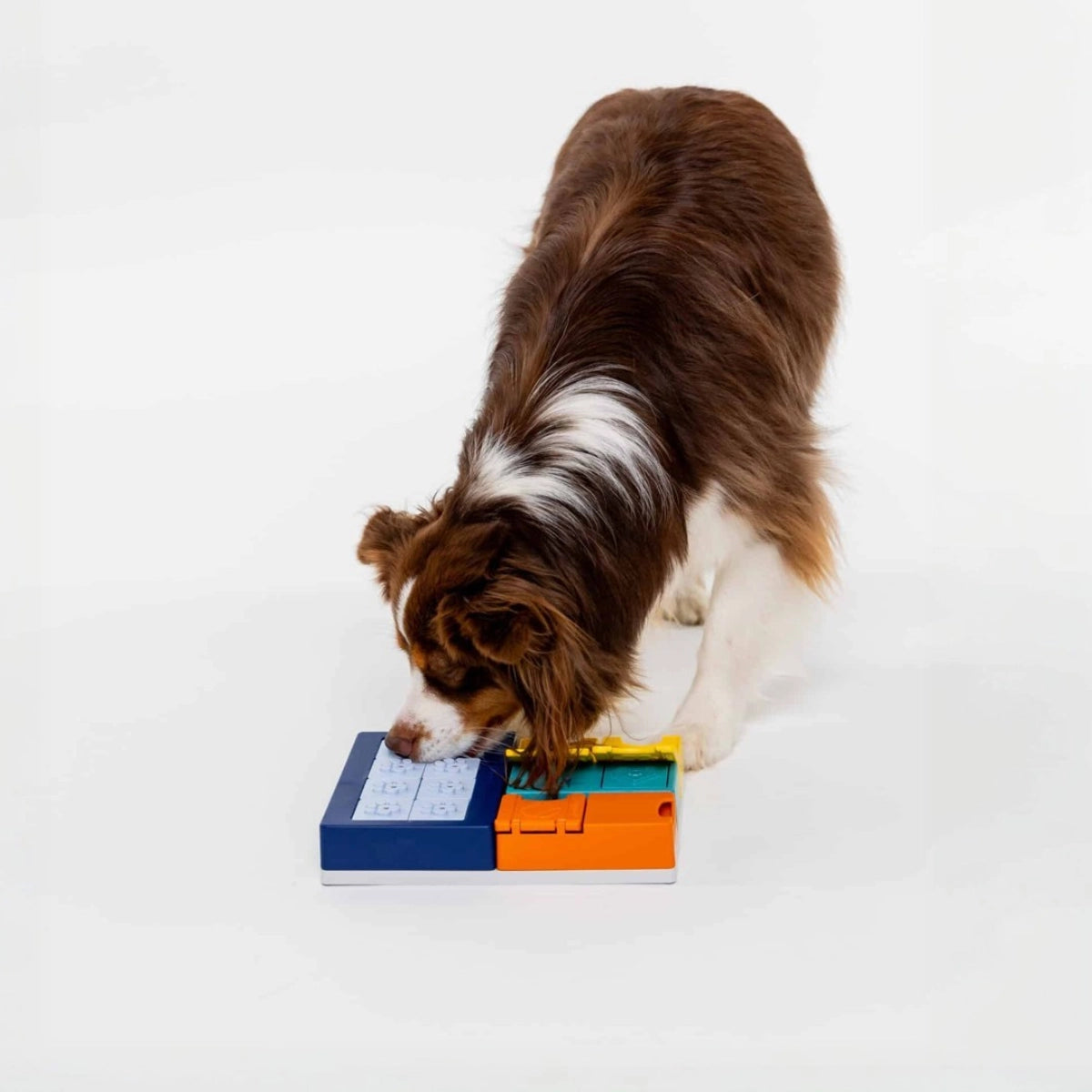 Jeu d’intelligence pour chien Smarty Set