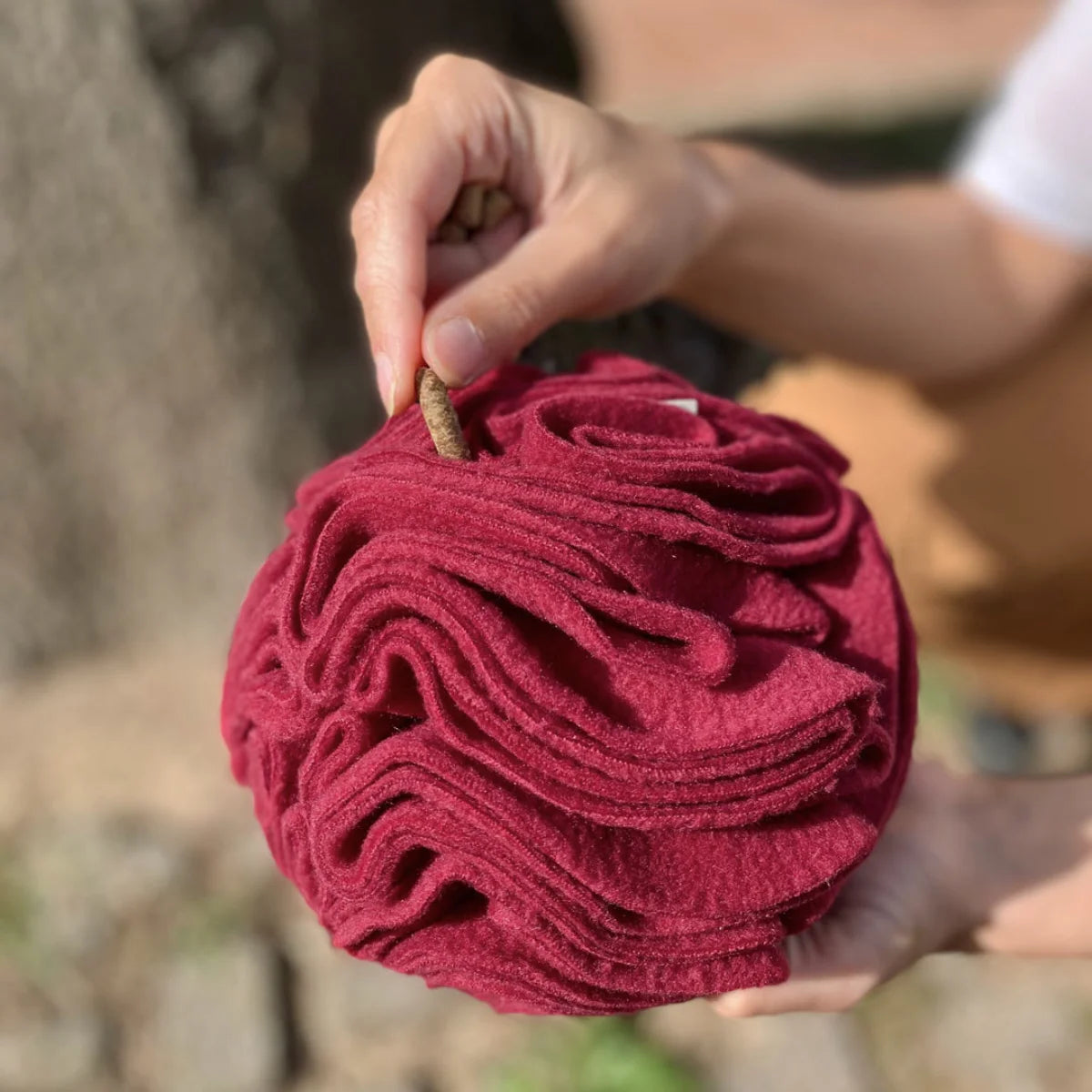 snuffle ball pour chien bordeaux boop the snoot et friandises