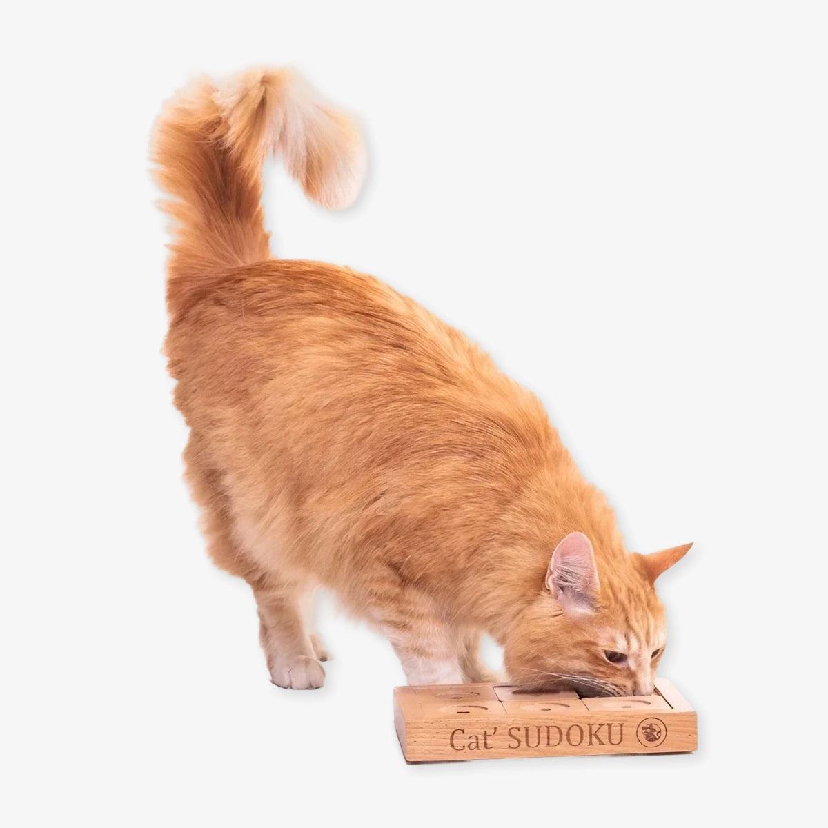 Sudoku pour chat avancé