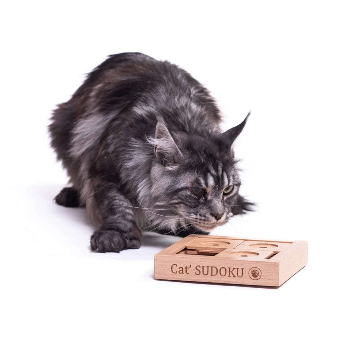 Sudoku pour chat basic