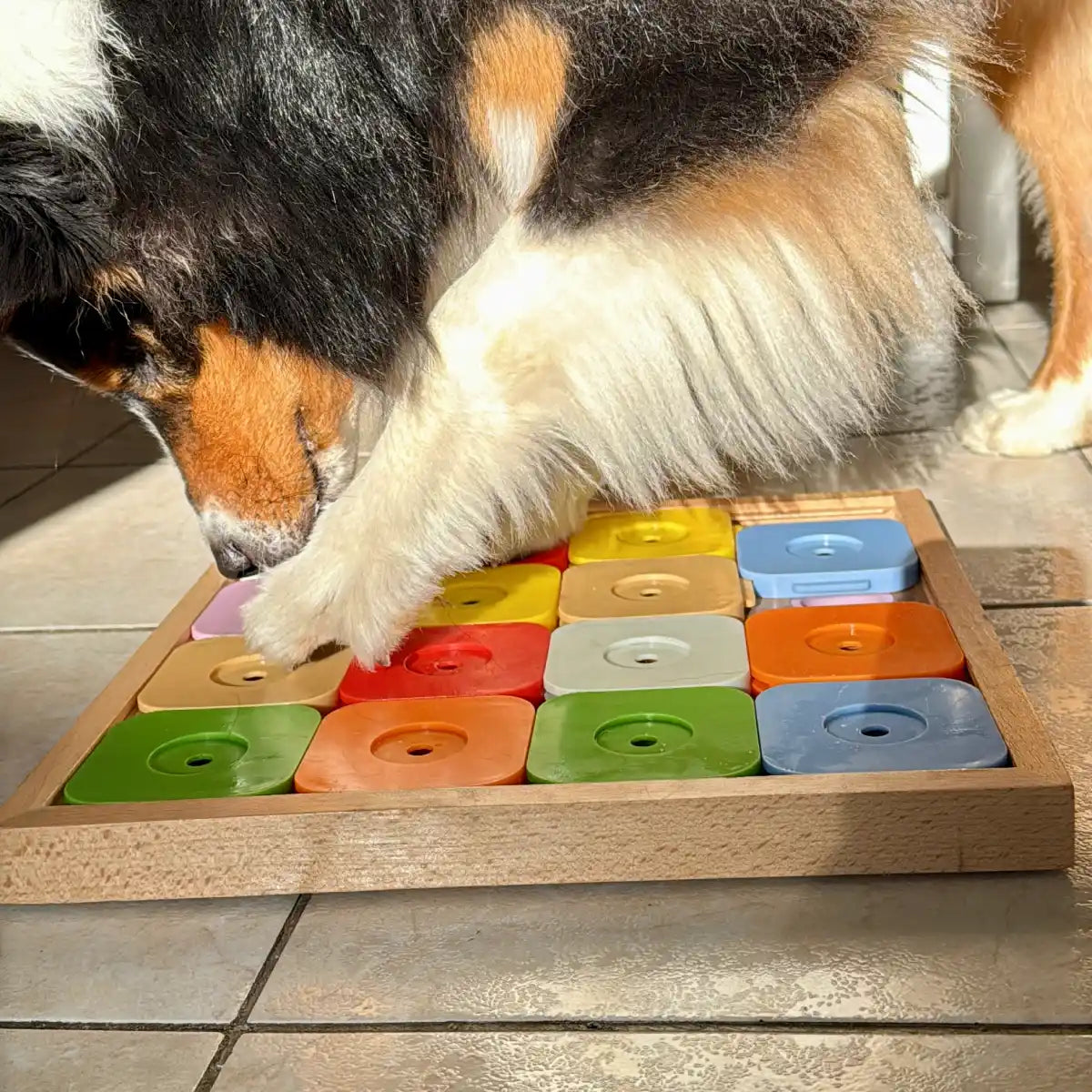 Sudoku en bois pour chien 16 cases
