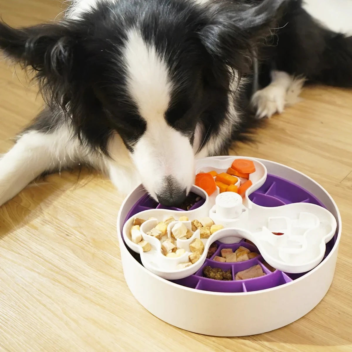 Gamelle anti-glouton pour chien Swirl