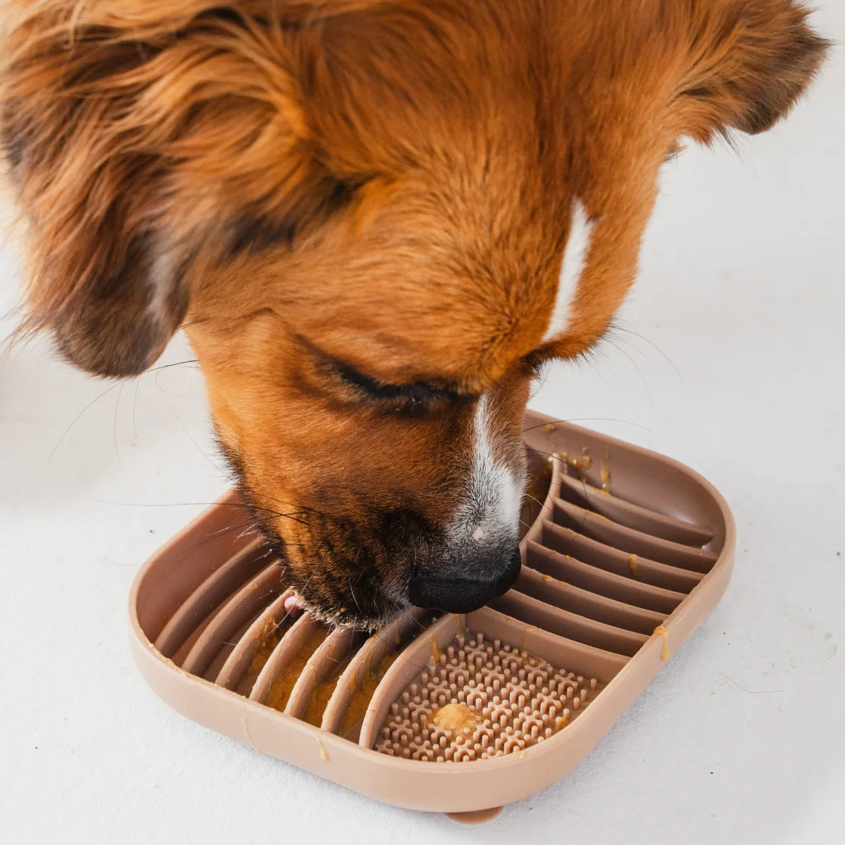 Tapis de léchage pour chien rainures