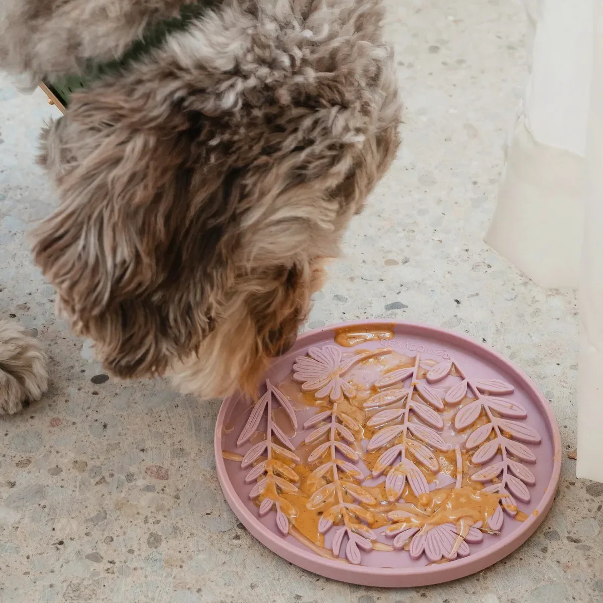 Tapis de léchage pour chien Jardin