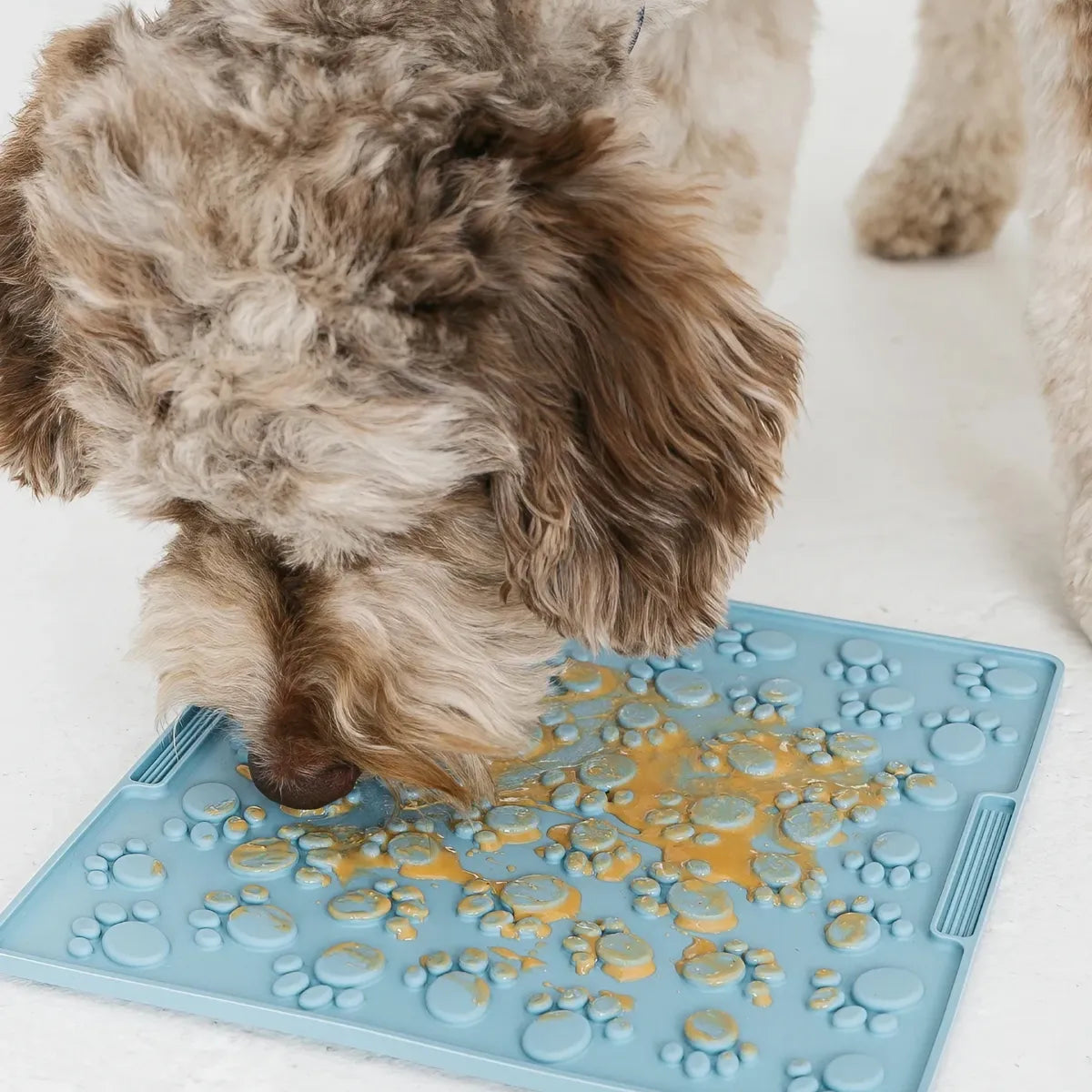 Tapis de léchage pour chien Pattes