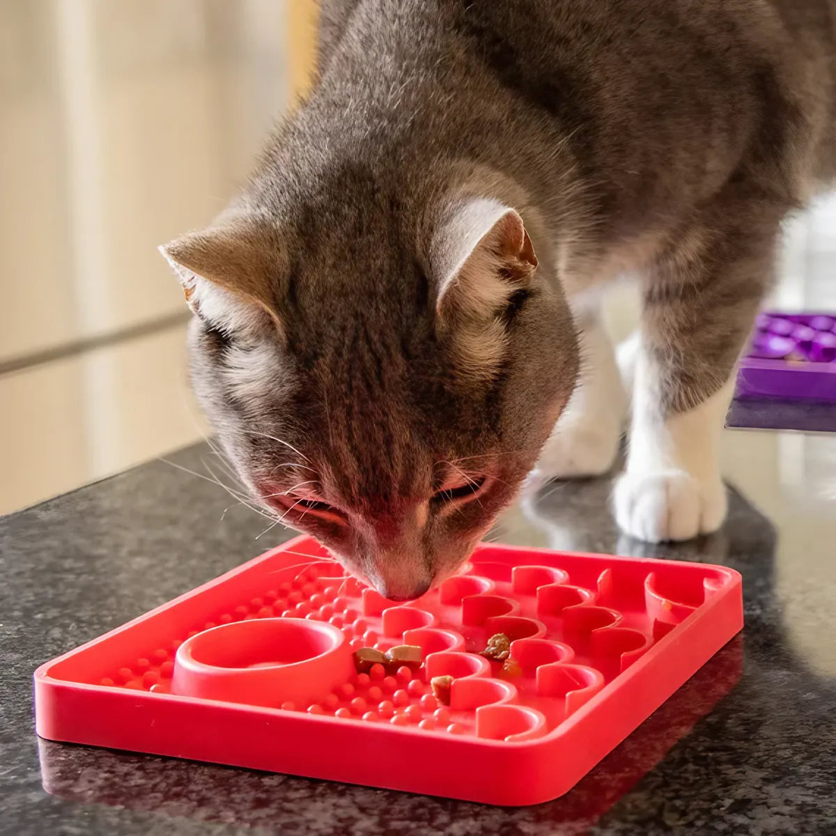 Tapis de léchage pour chat Catster