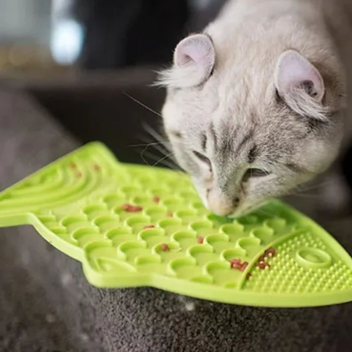 Tapis de léchage pour chat Félix