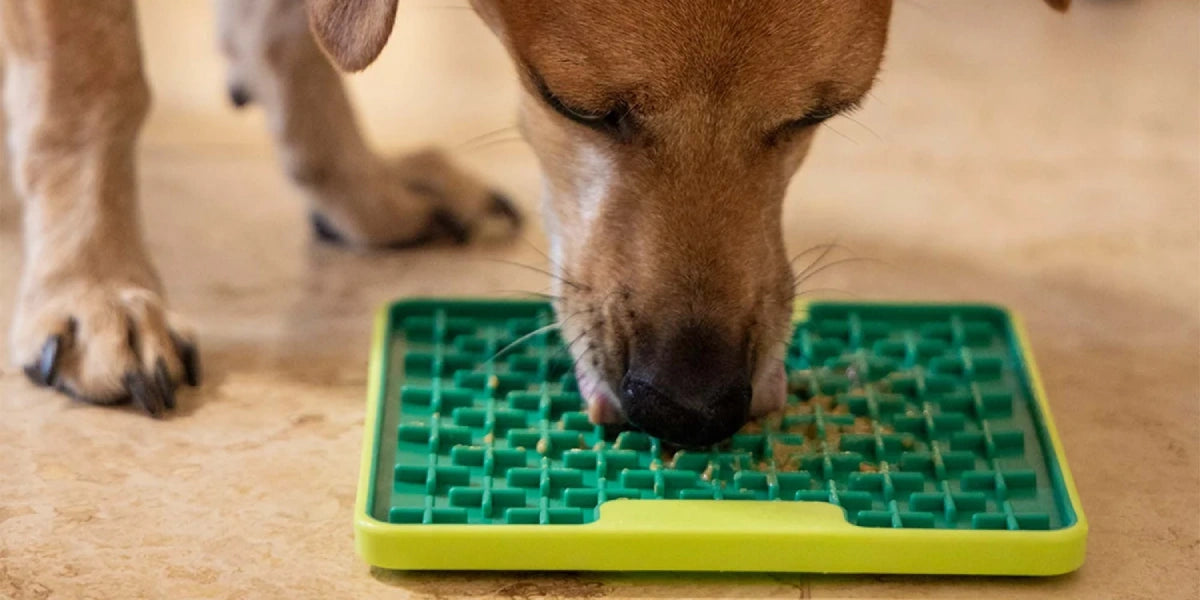 Un chien lèche sur un tapis de léchage Lickimat