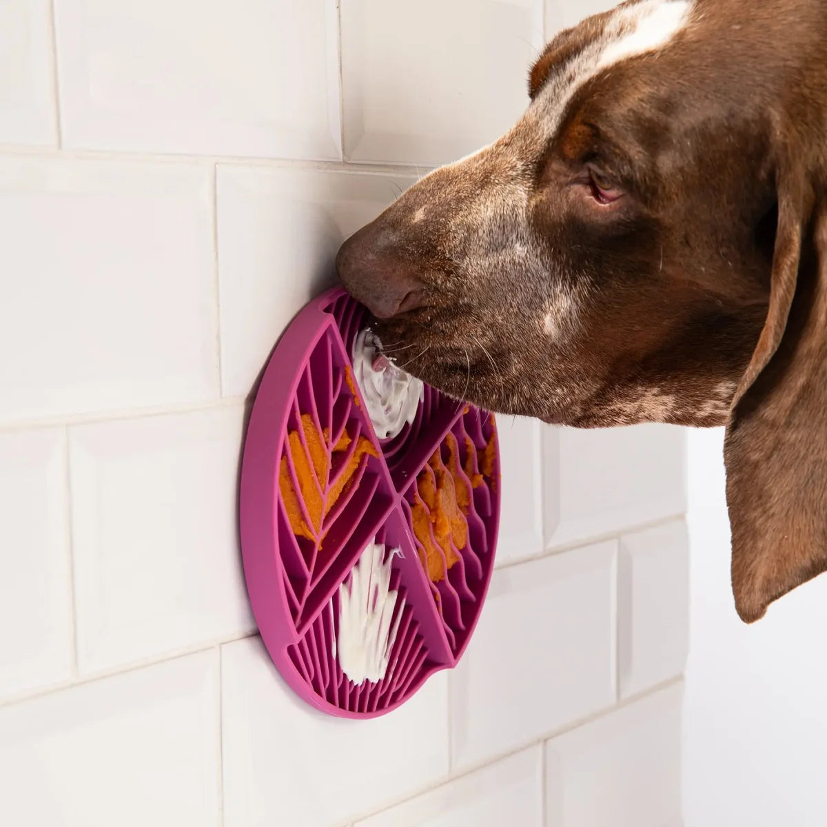 Tapis de léchage pour chien Paradise
