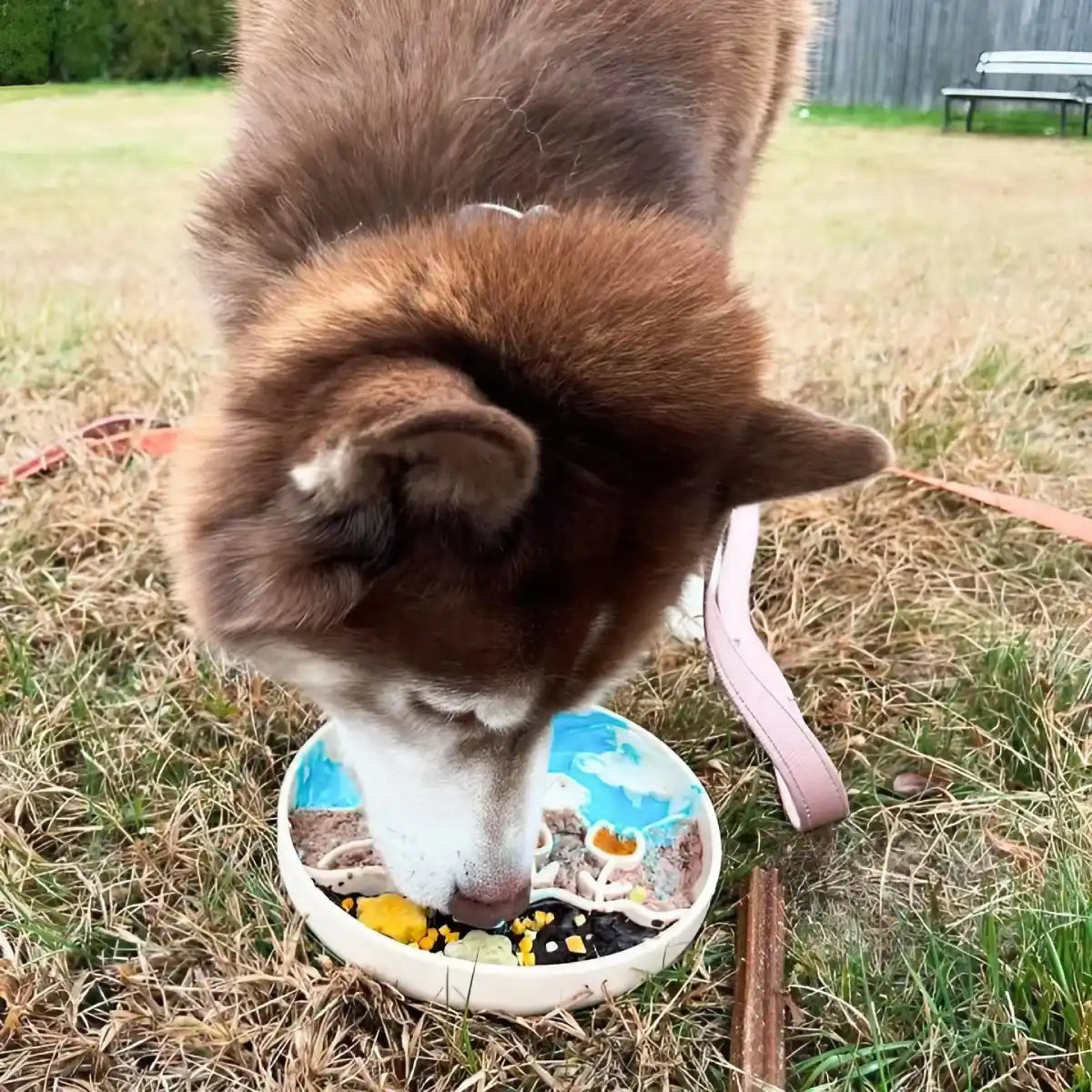 Tapis de léchage pour chien Meadow