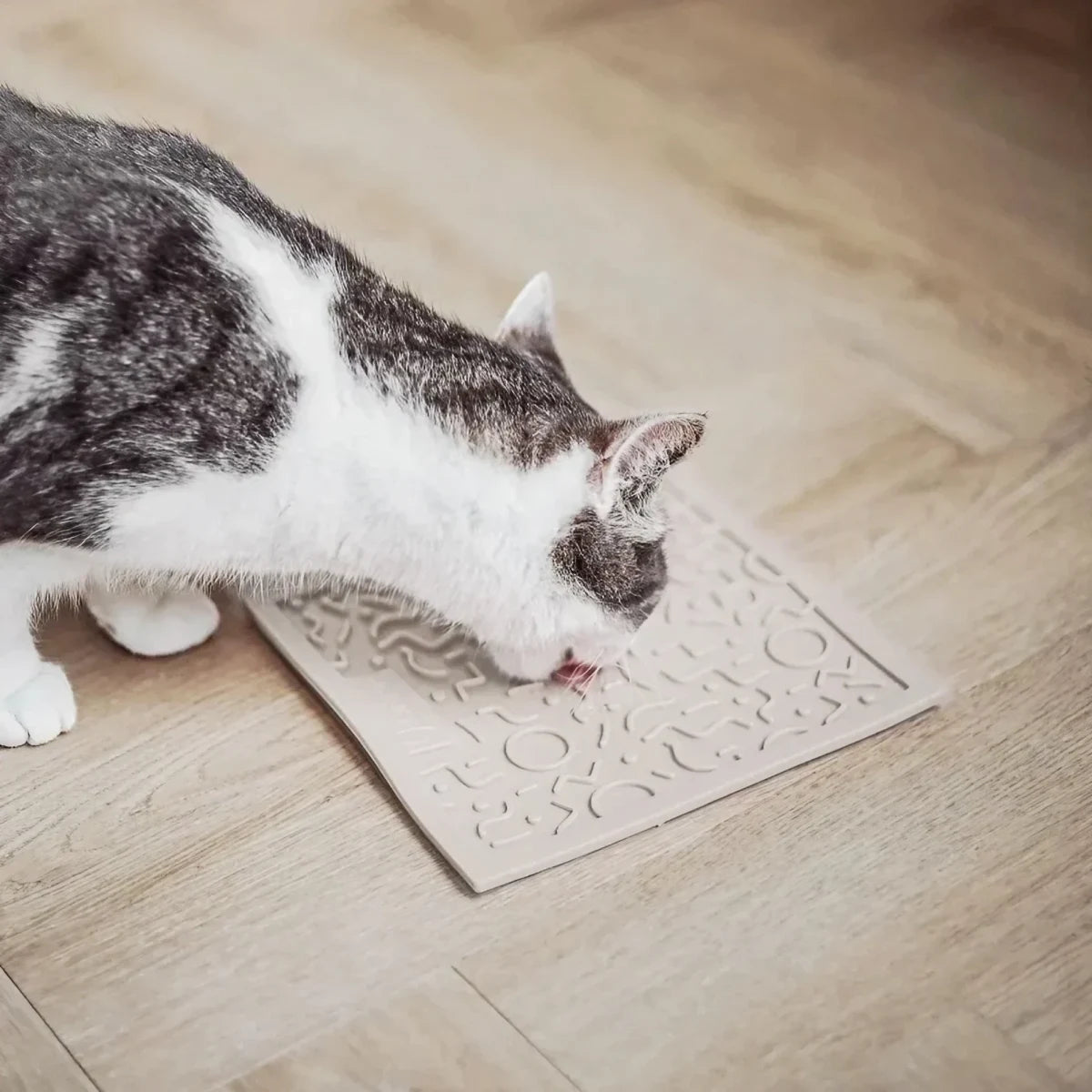 Tapis de léchage pour chat QUEST