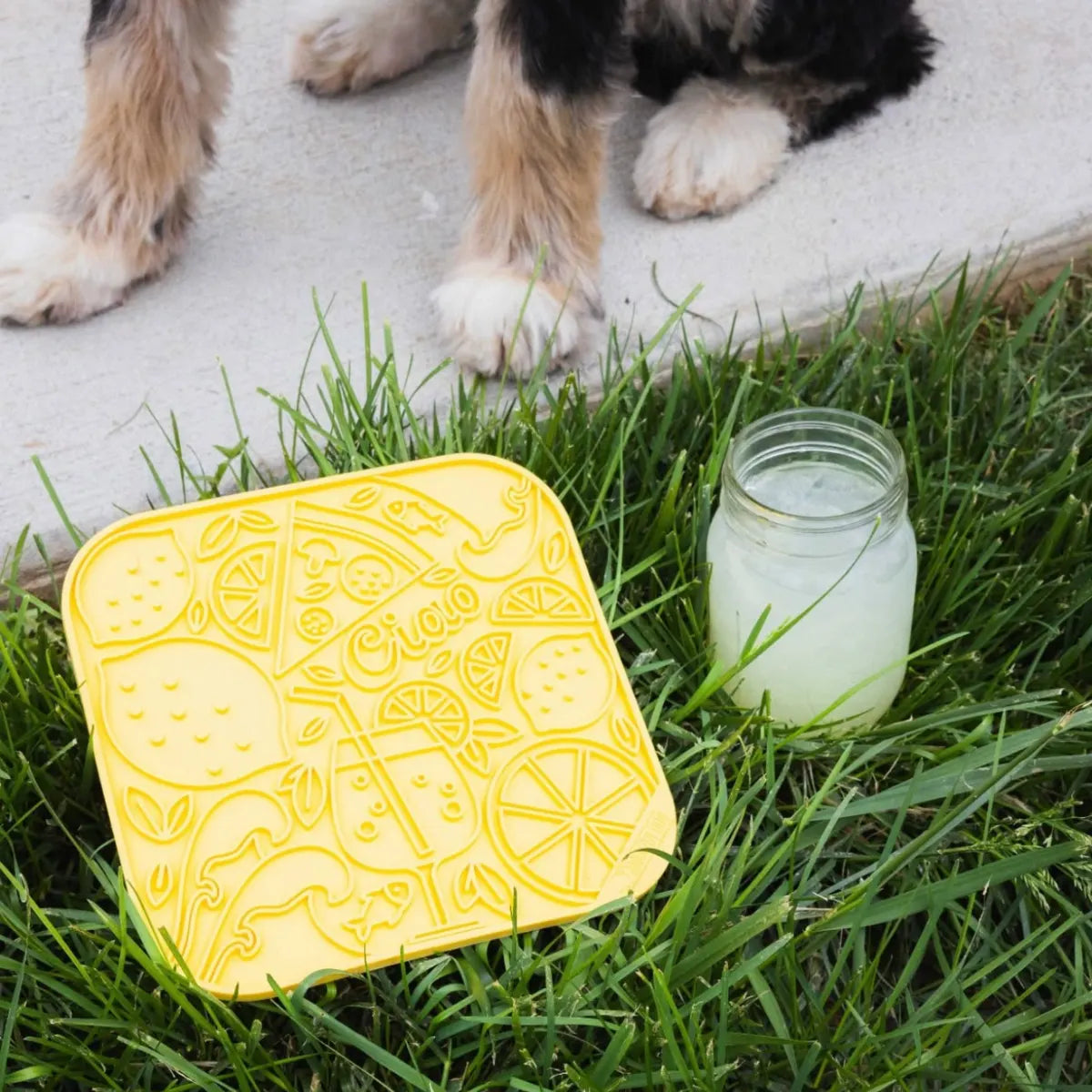 Tapis de léchage pour chien Limoncello