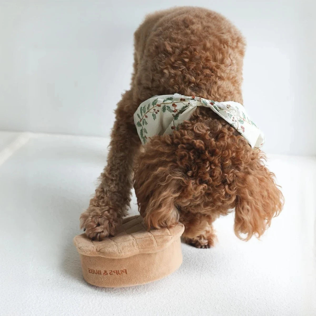 Jeu de fouille pour chien Tarte aux pommes