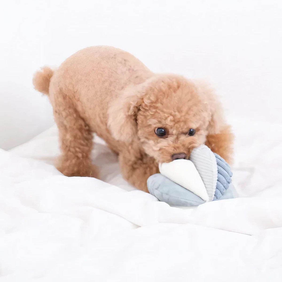 Jeu de fouille pour chien Toto