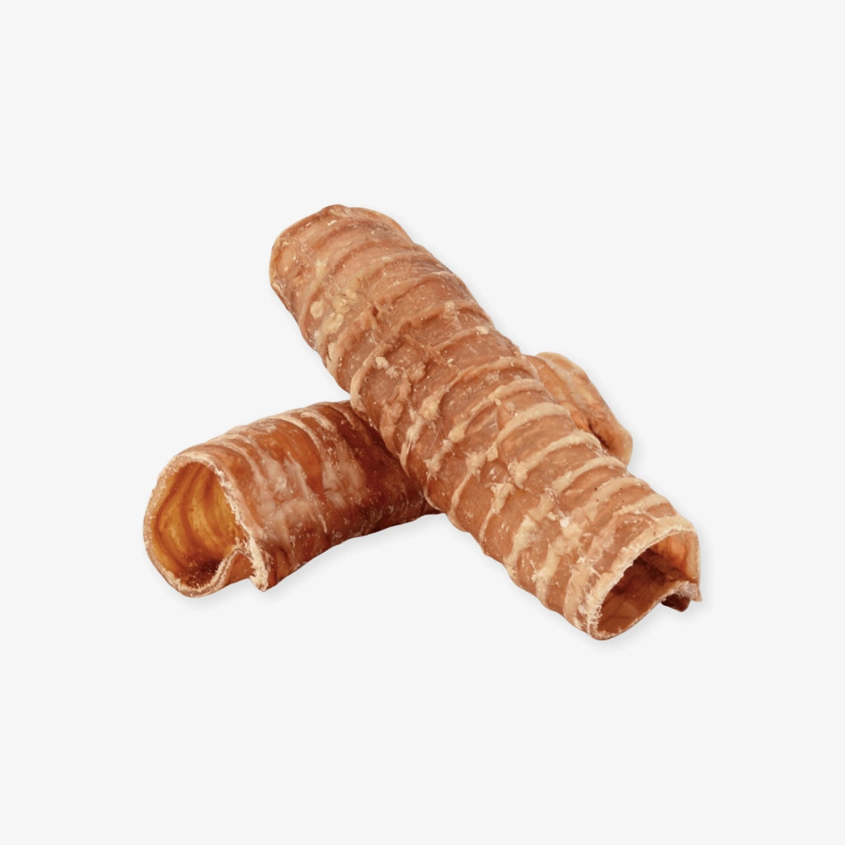 Trachée de boeuf pour chien 15 cm