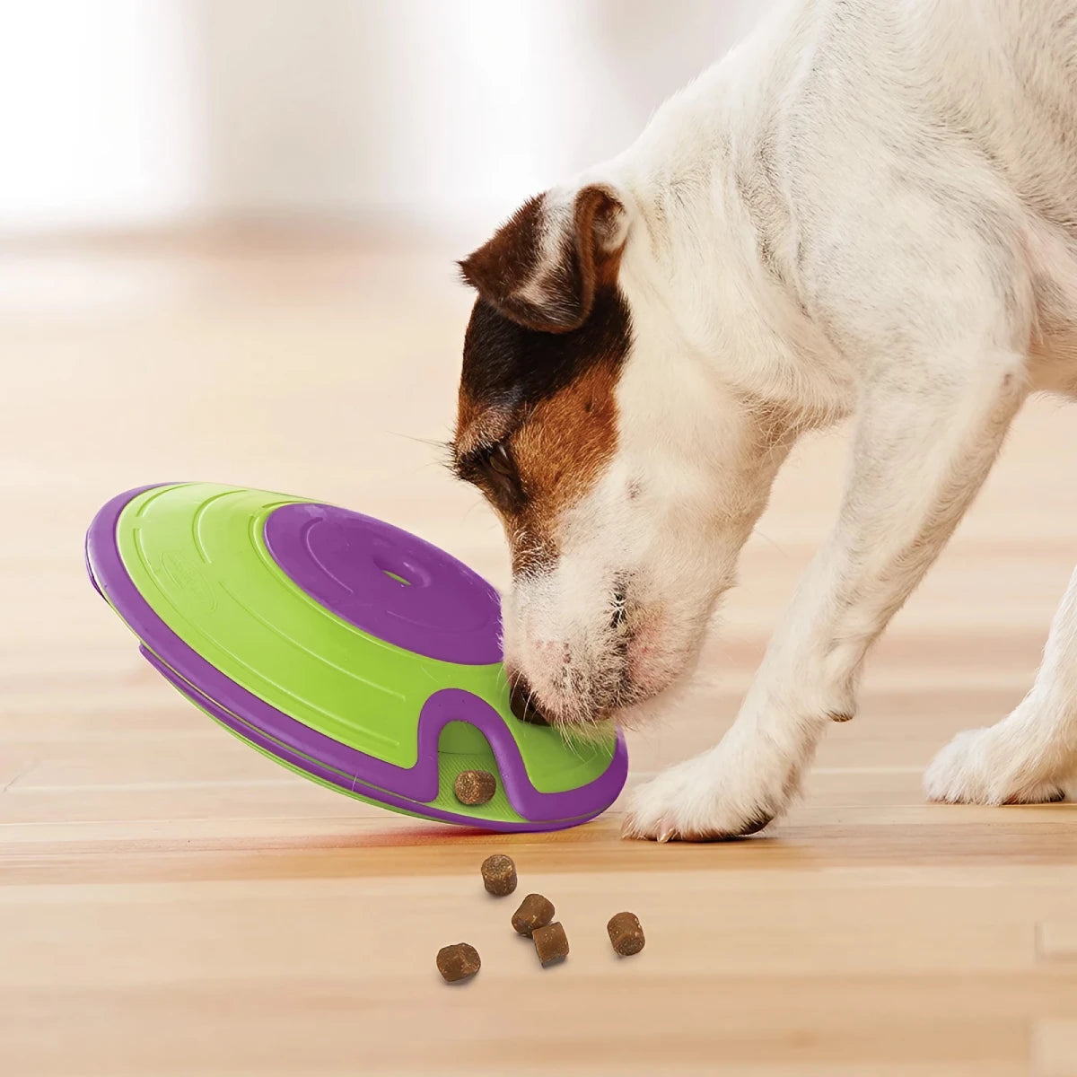 Distributeur de friandises pour chien Treat Maze