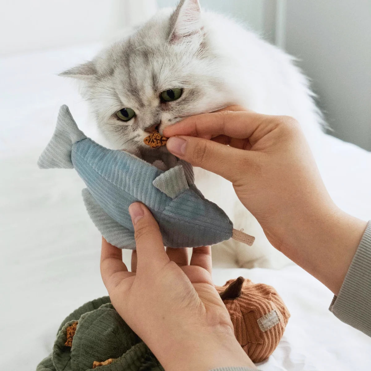 Jouet pour chat Truite