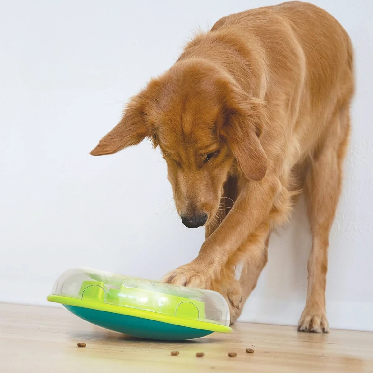 Distributeur de friandises pour chien Wobble Bowl