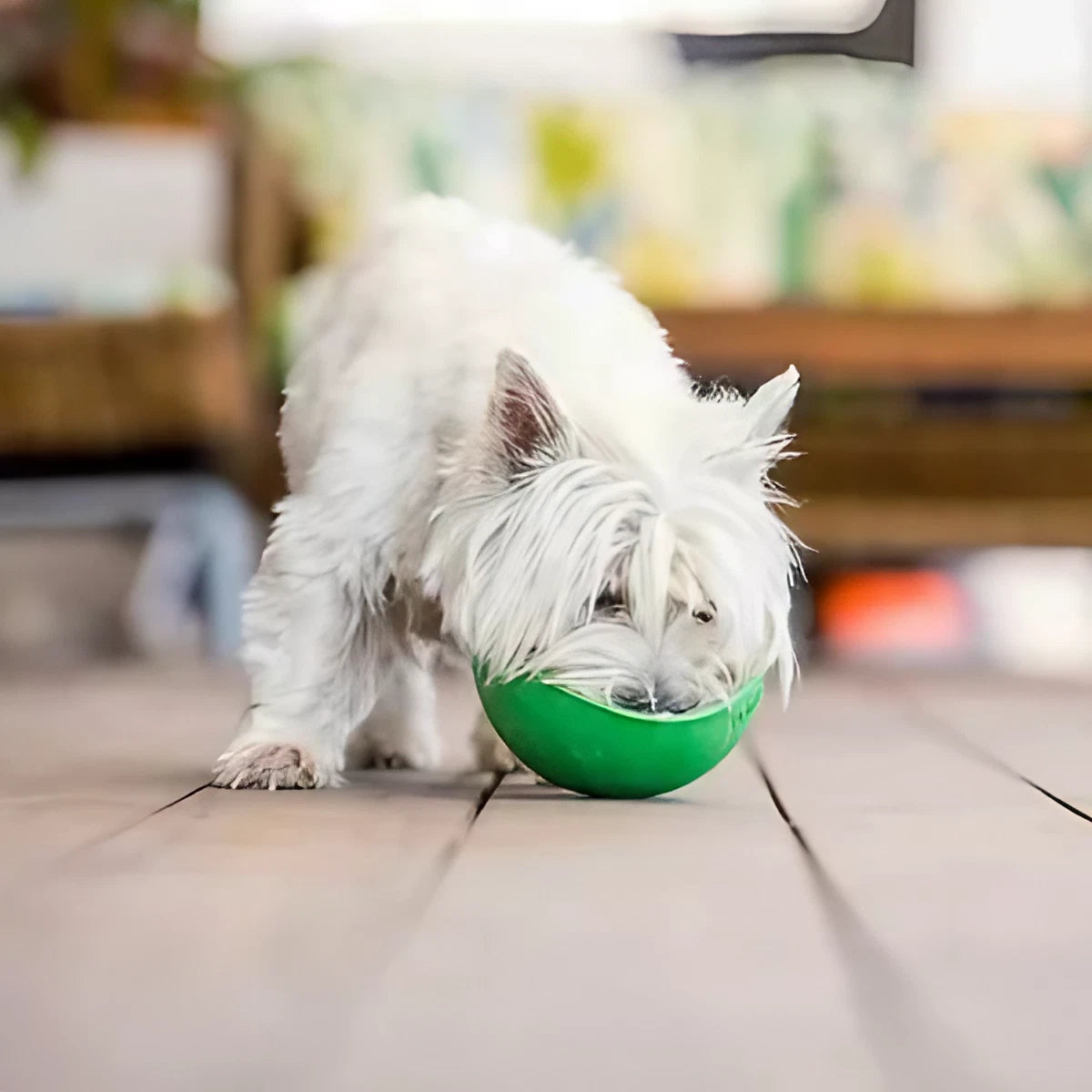 Bol de léchage pour chien Wobble