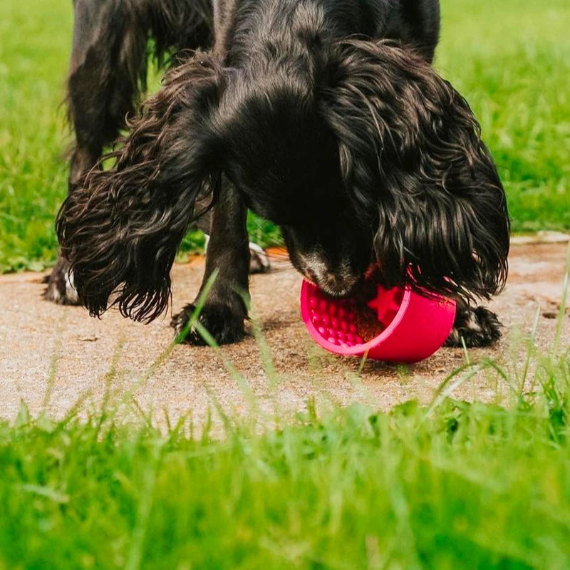 Yoggie Pot pour chien à lécher